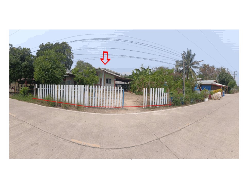 Picture of the author