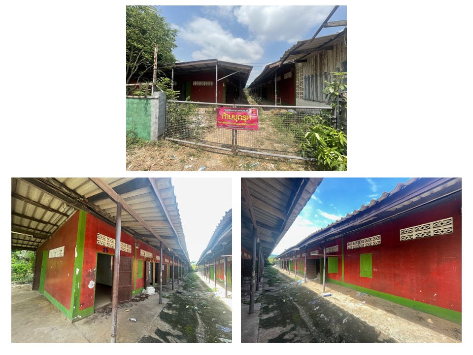 Picture of the author