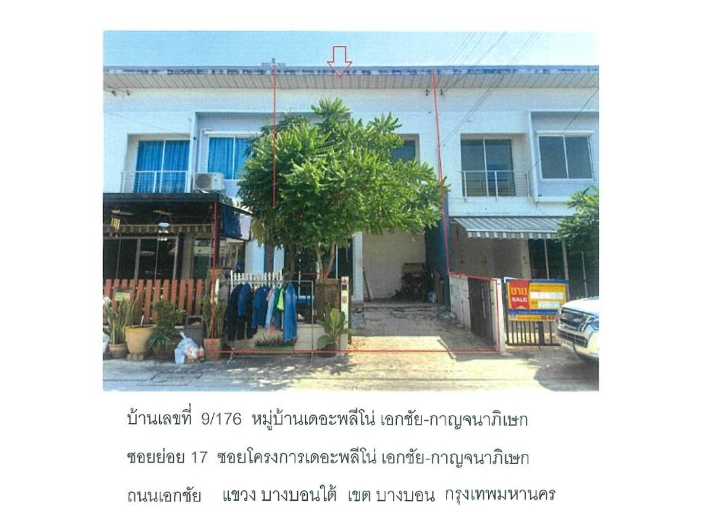 Picture of the author