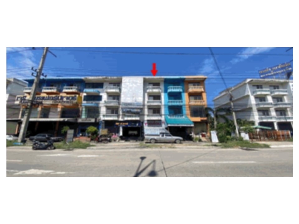 Picture of the author