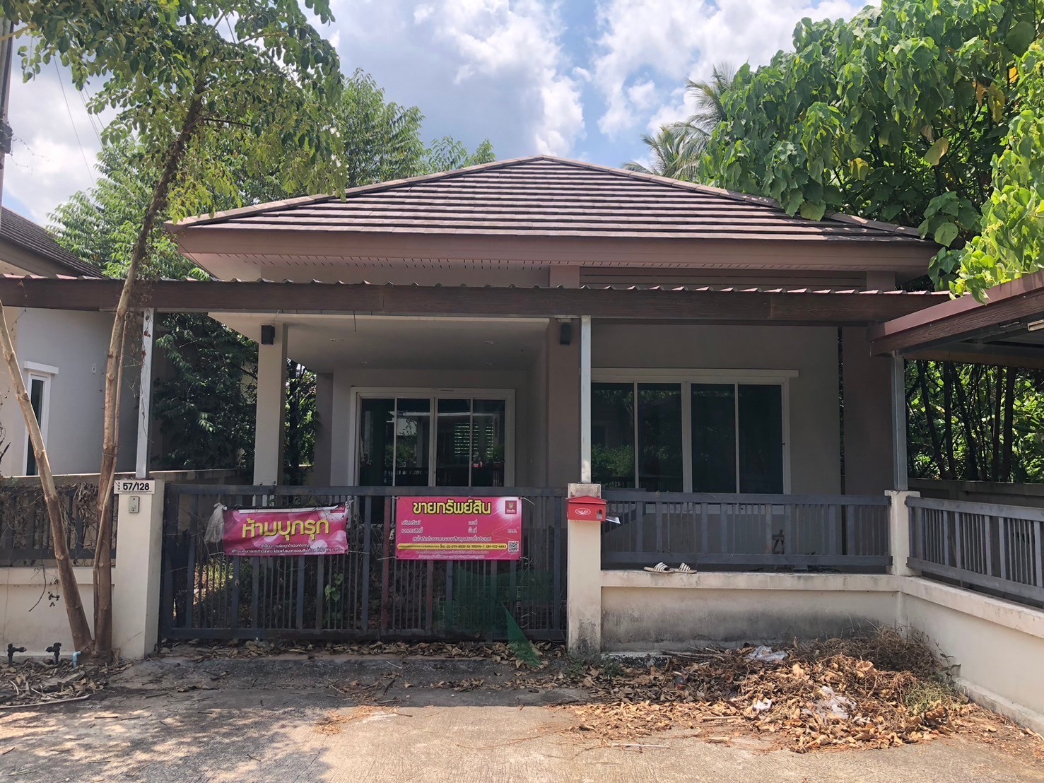 Picture of the author