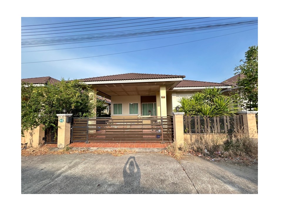 Picture of the author