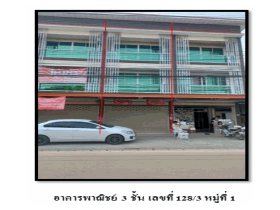 Picture of the author