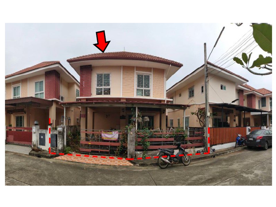 Picture of the author