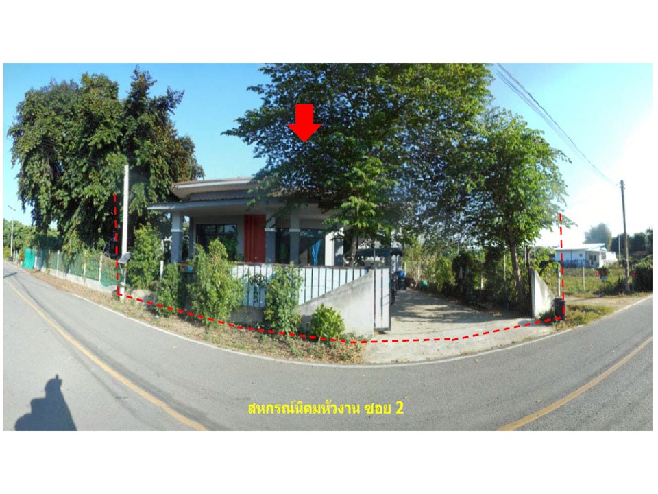 Picture of the author