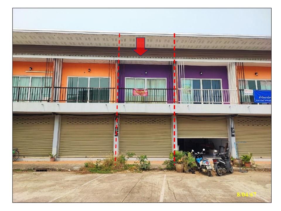 Picture of the author