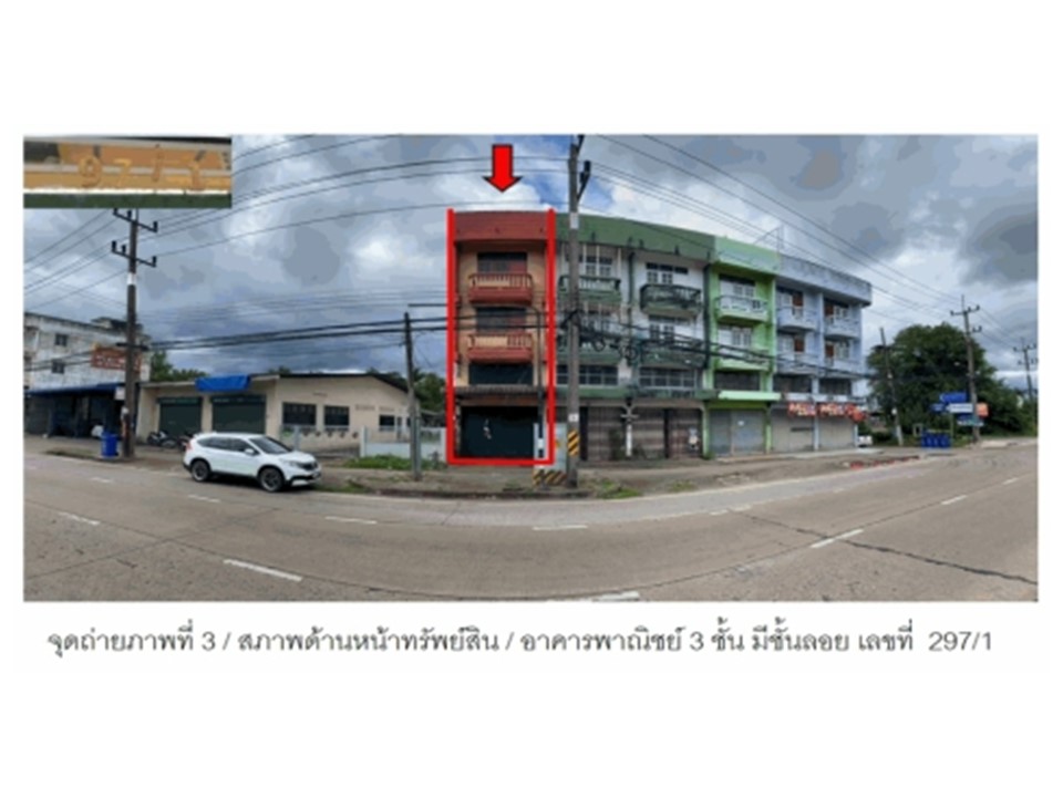 Picture of the author