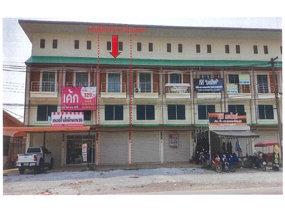 Picture of the author