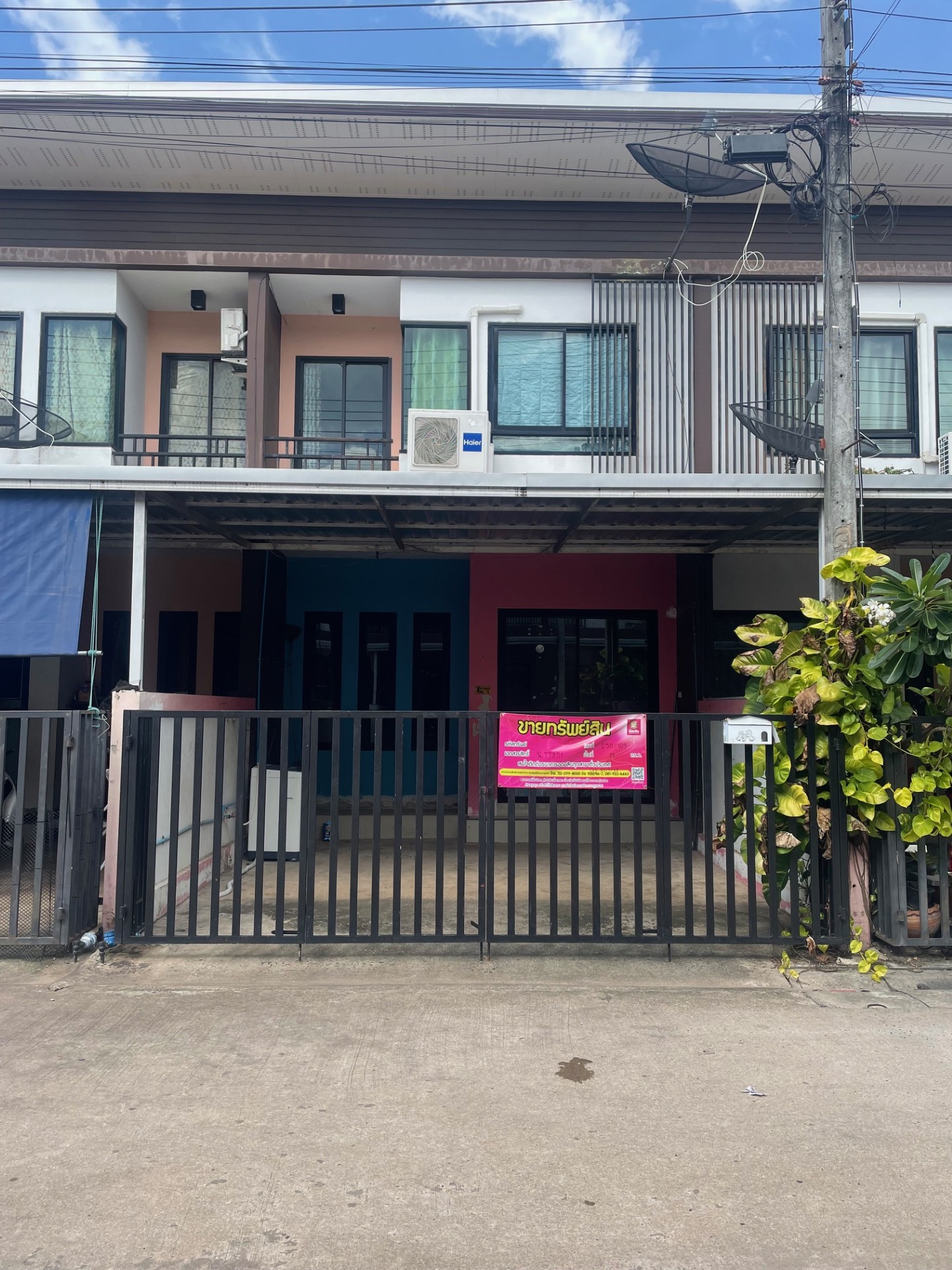 Picture of the author