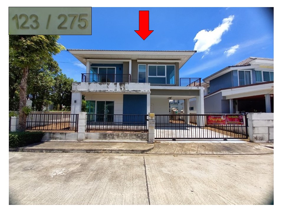 Picture of the author