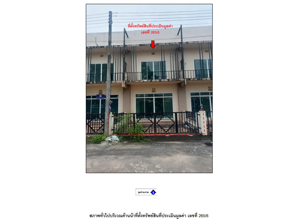 Picture of the author