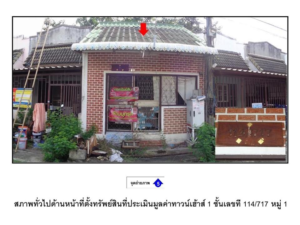 Picture of the author