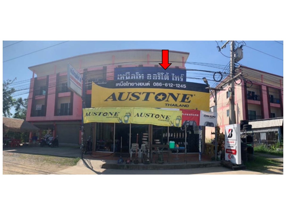 Picture of the author