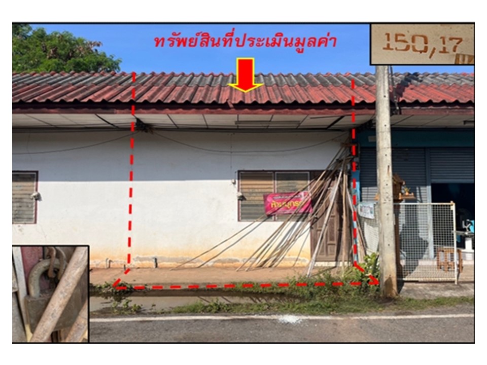 Picture of the author