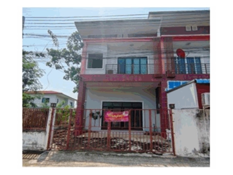 Picture of the author