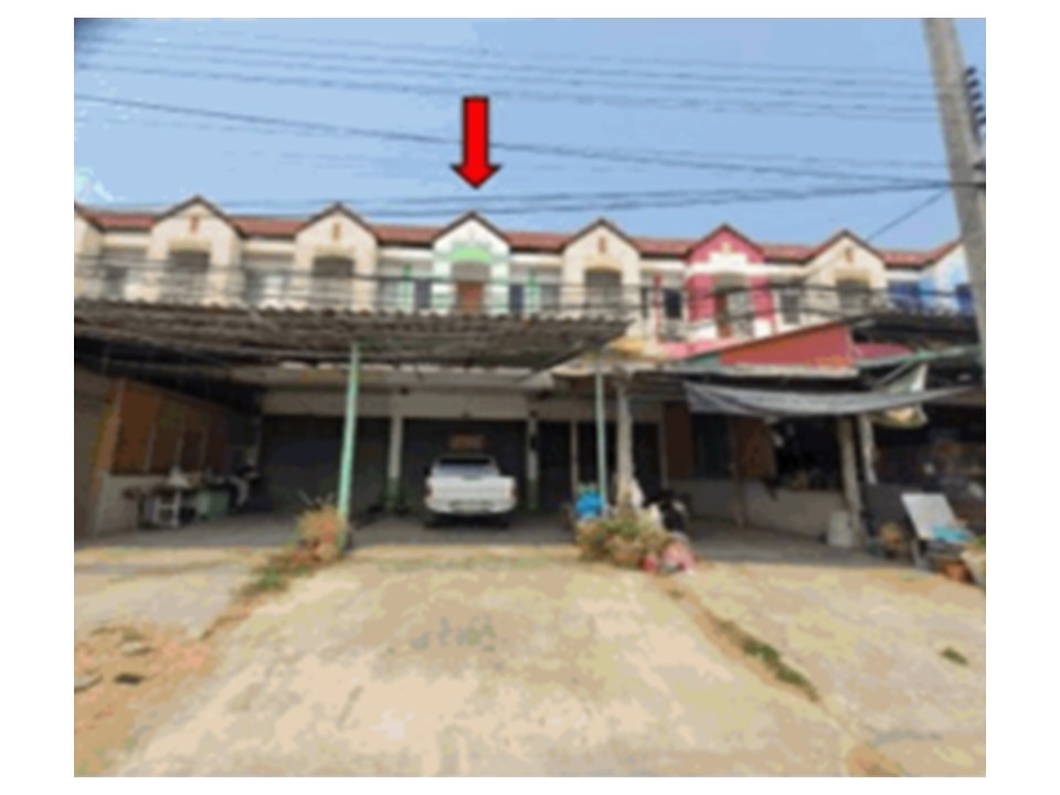 Picture of the author