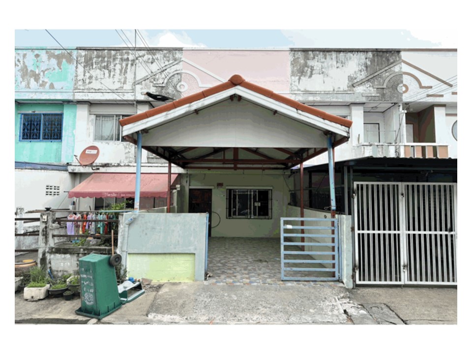 Picture of the author