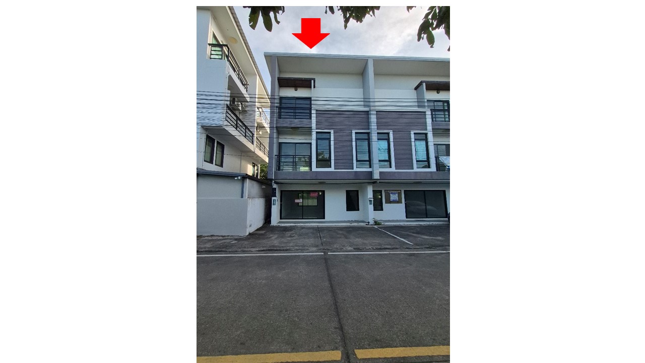 Picture of the author