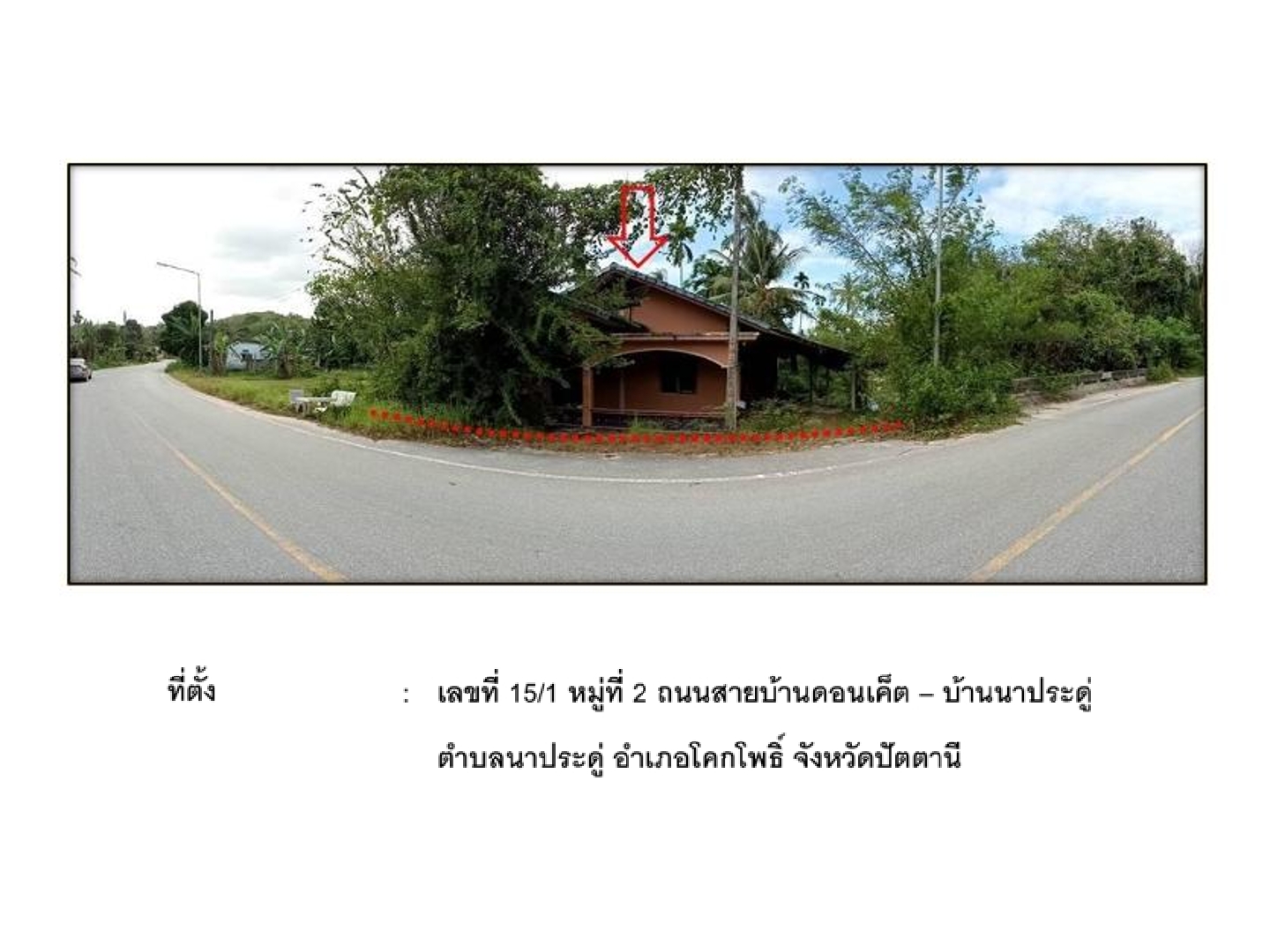 Picture of the author