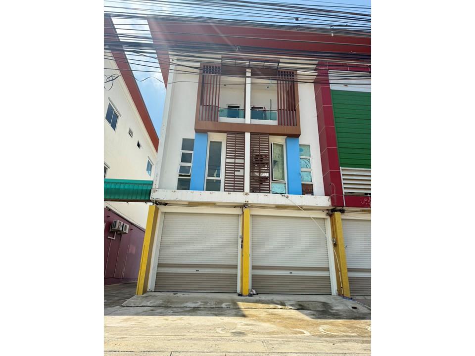 Picture of the author