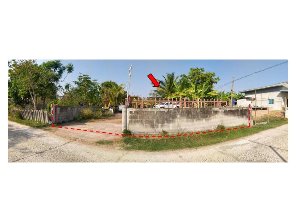 Picture of the author