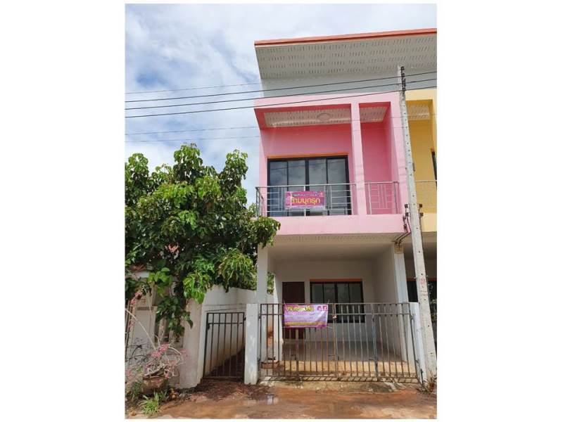 Picture of the author