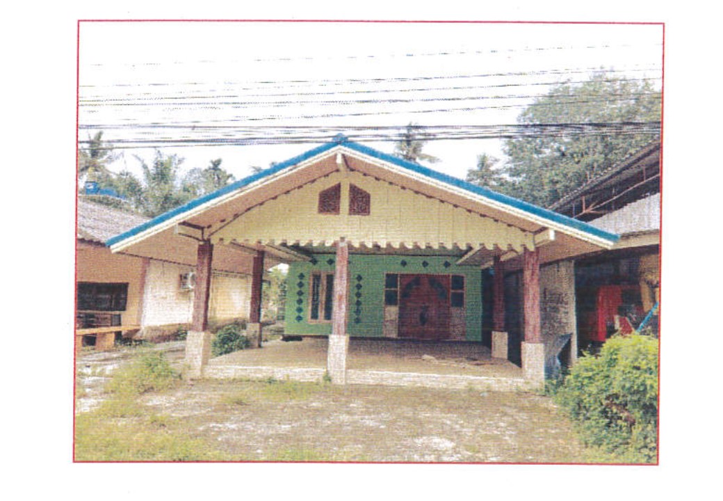 Picture of the author