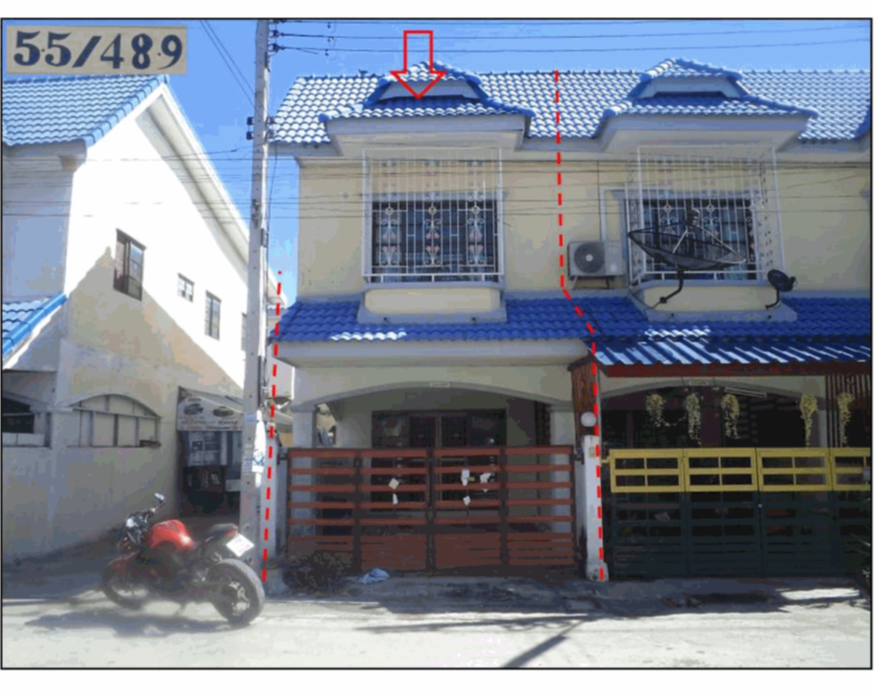 Picture of the author