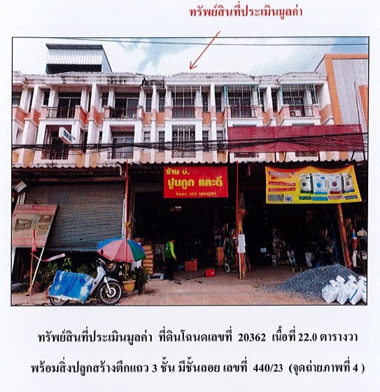 Picture of the author