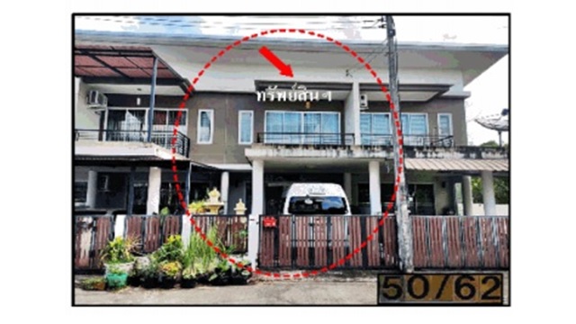 Picture of the author