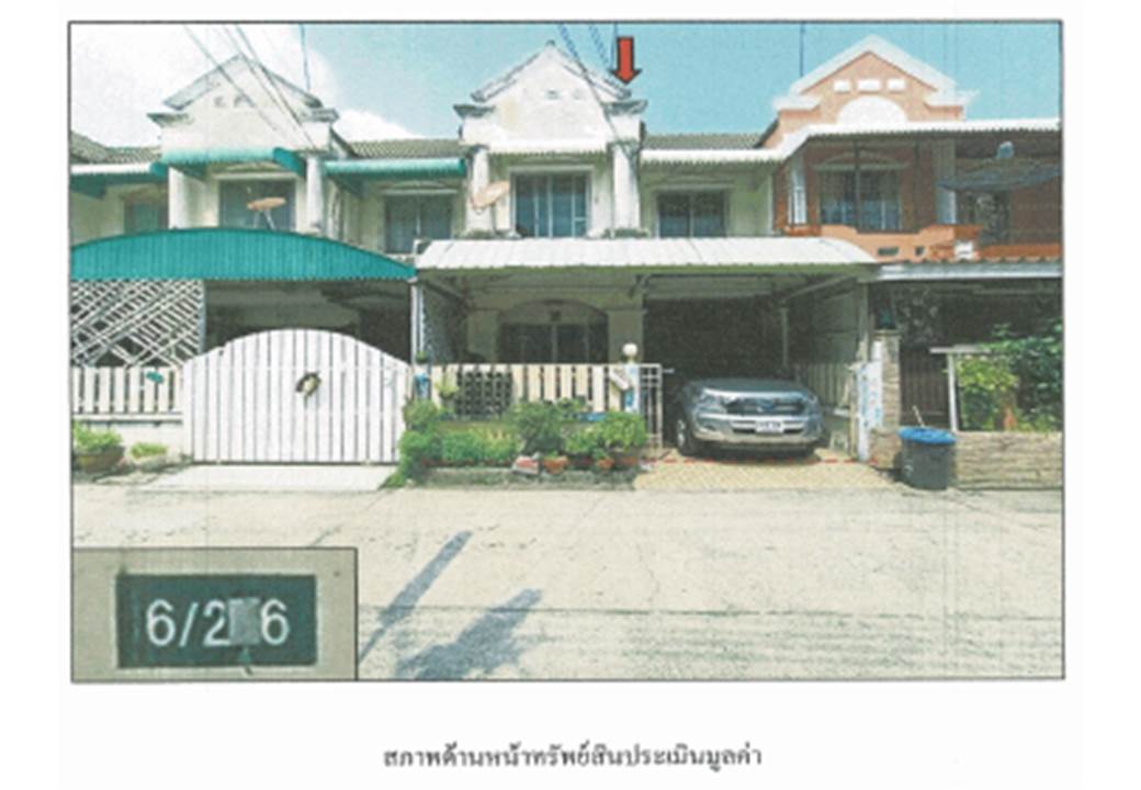 Picture of the author