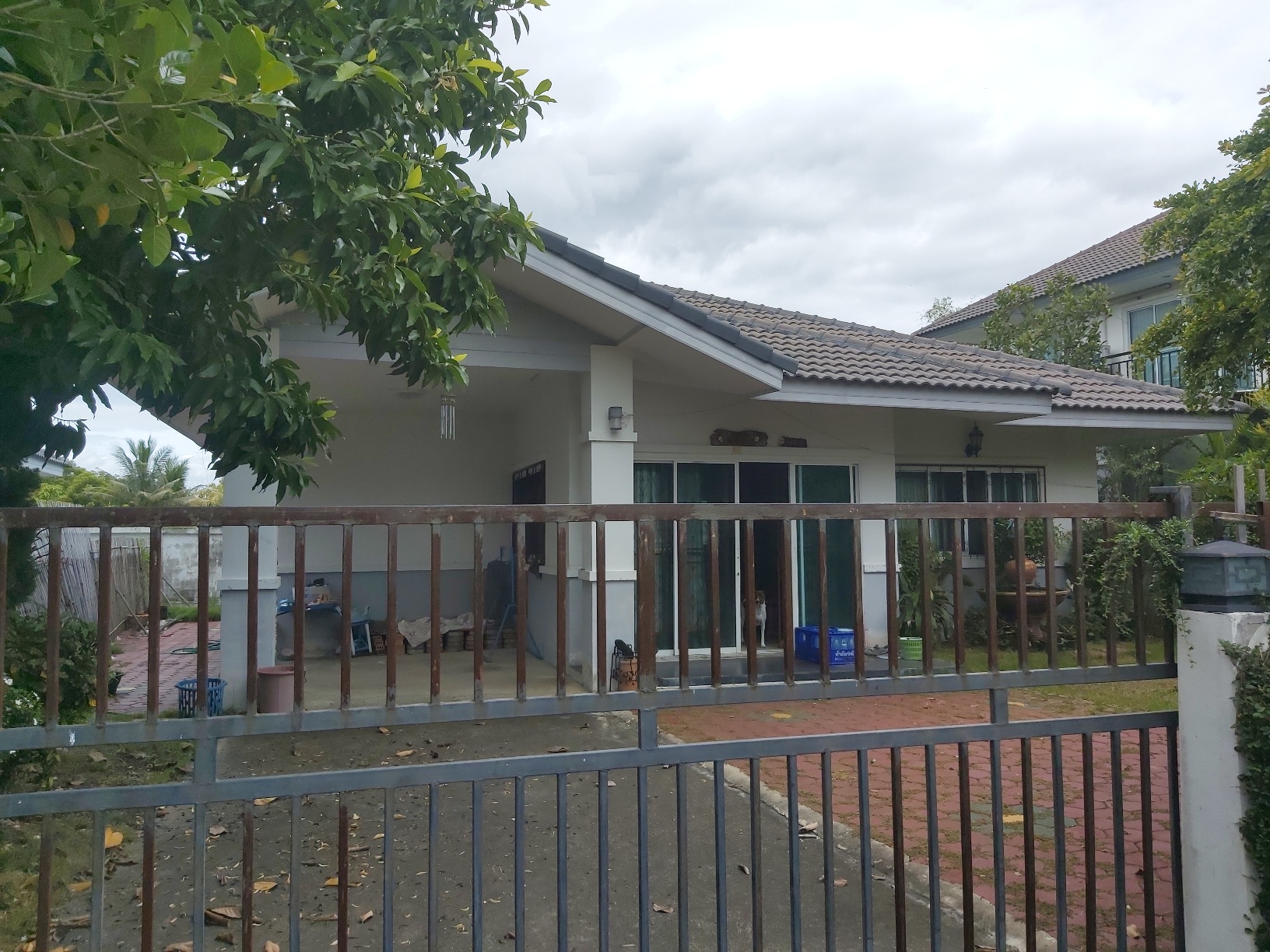 Picture of the author