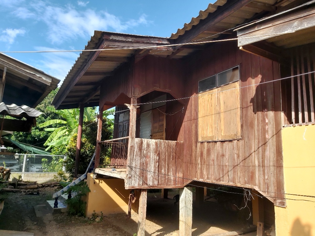 Picture of the author