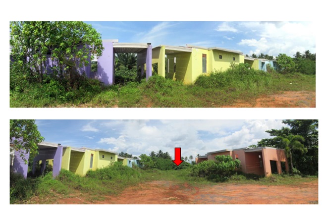 Picture of the author