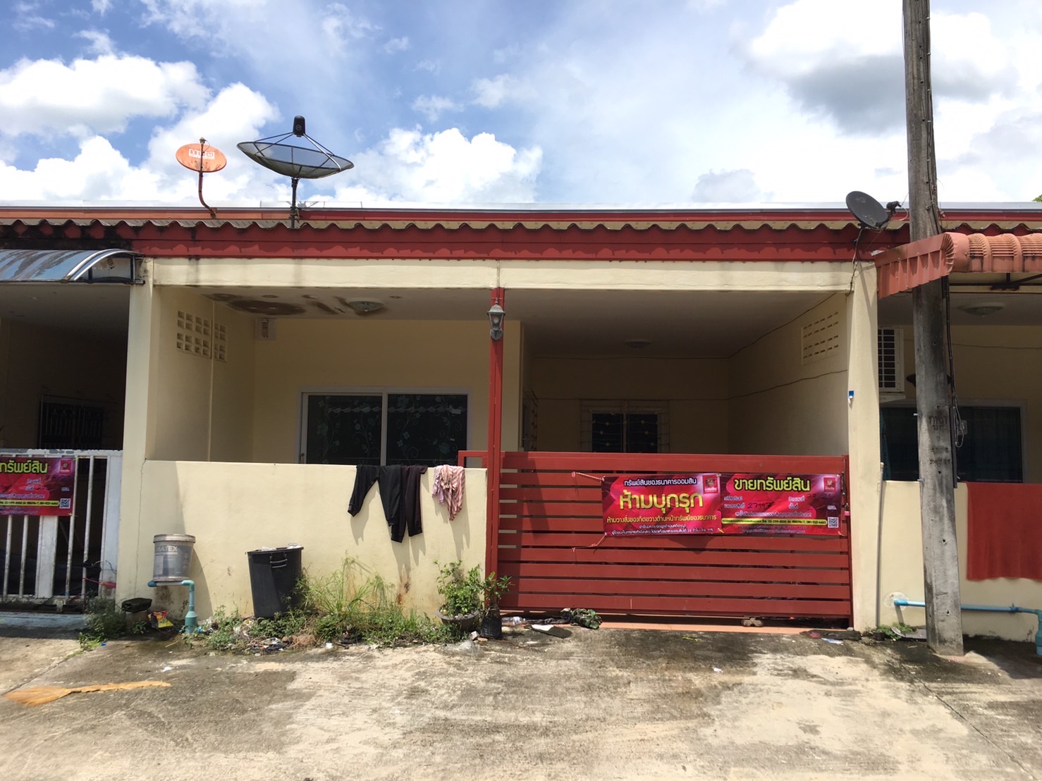 Picture of the author