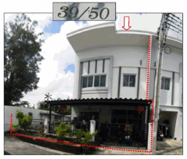 Picture of the author