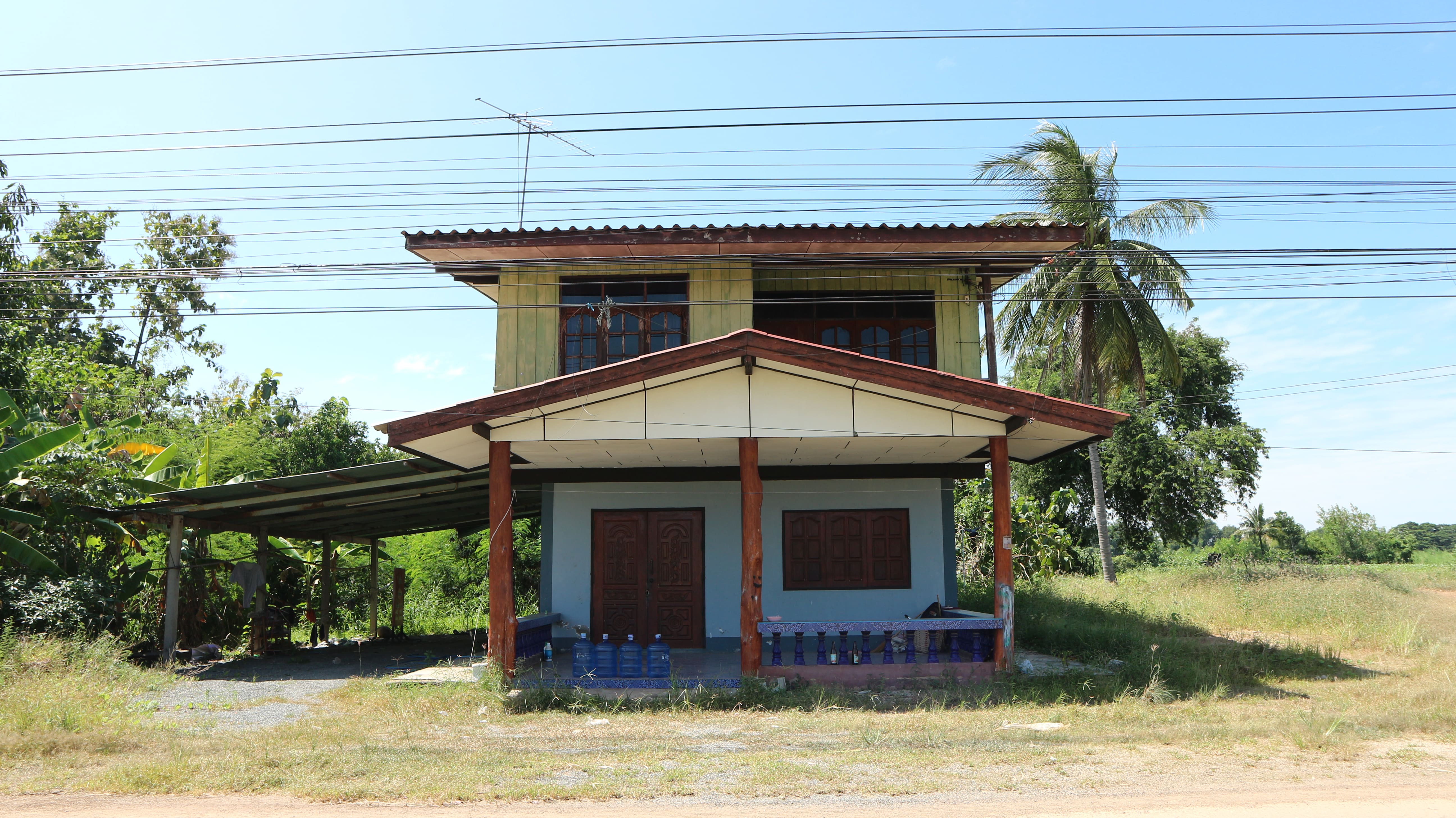 Picture of the author