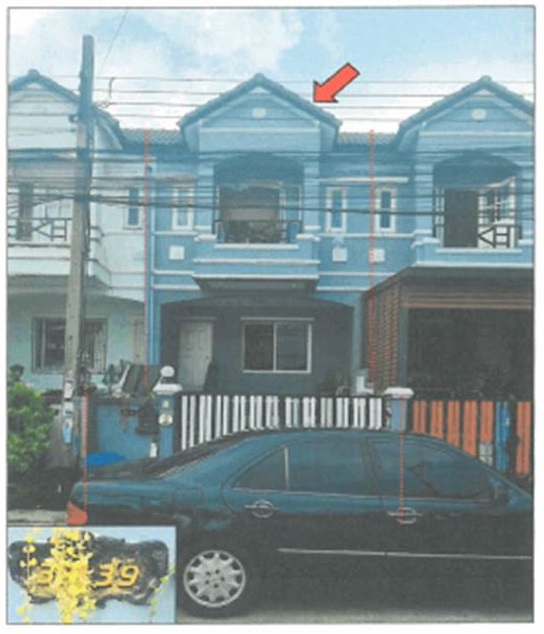 Picture of the author