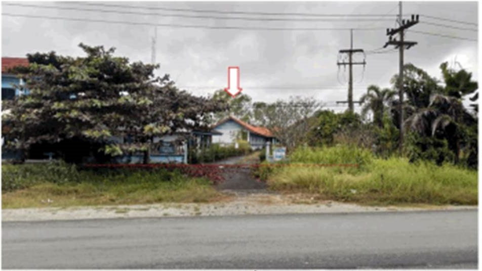 Picture of the author