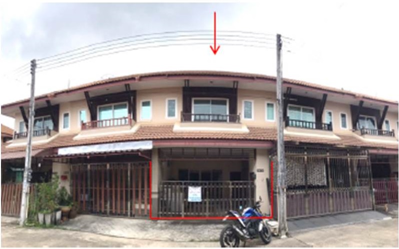 Picture of the author