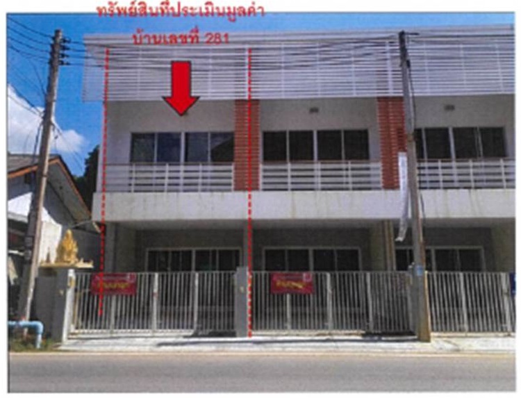 Picture of the author