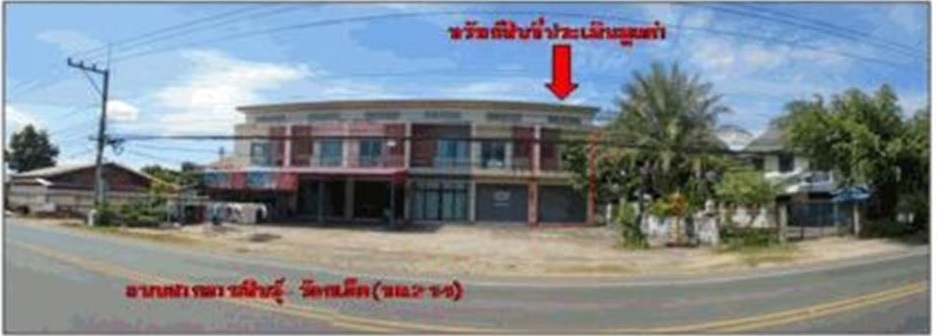 Picture of the author