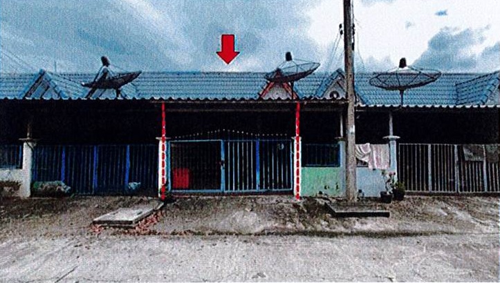 Picture of the author