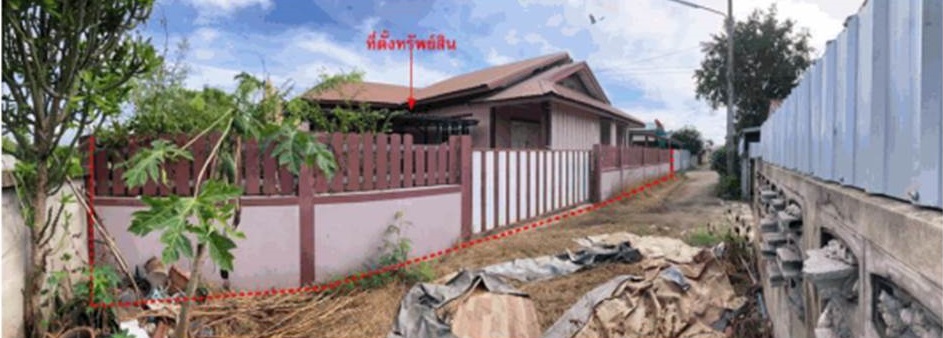 Picture of the author