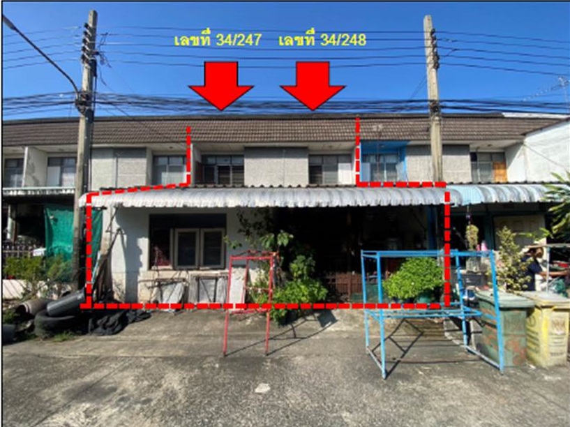 Picture of the author