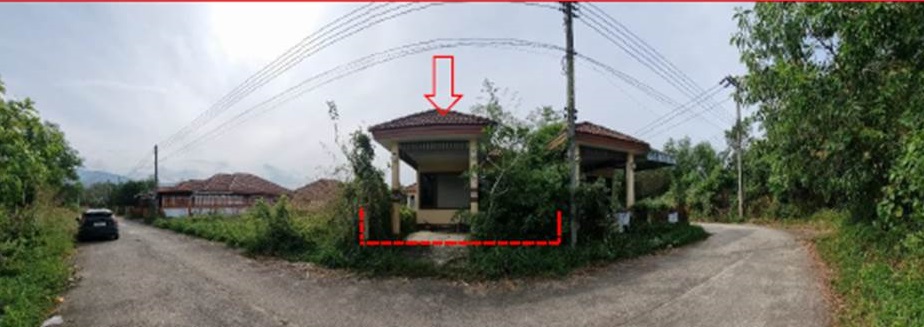 Picture of the author