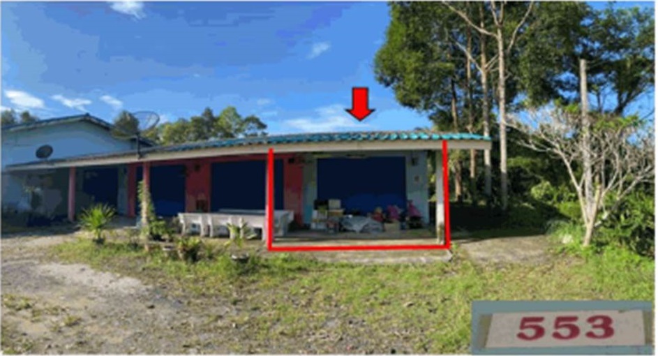 Picture of the author