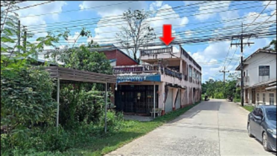 Picture of the author