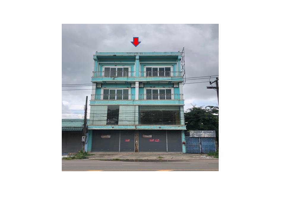 Picture of the author