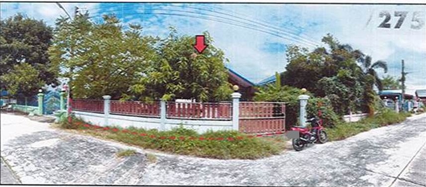 Picture of the author